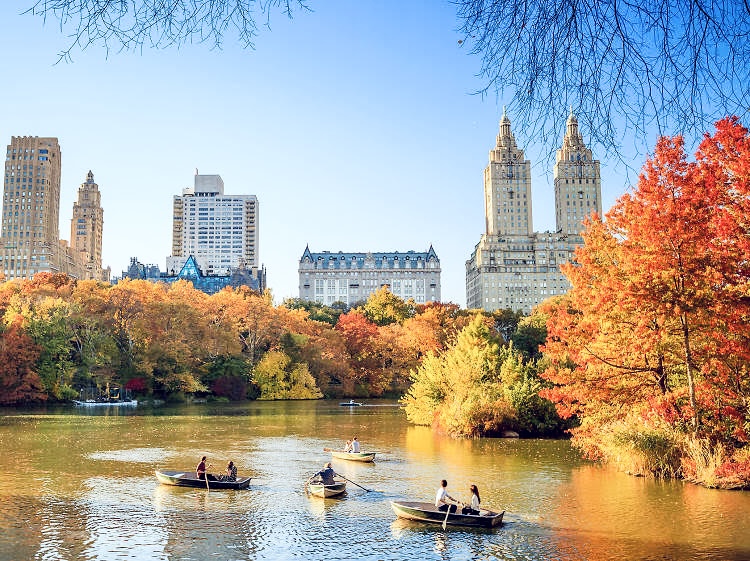 Secrets of Central Park Tour with Kevin Draper