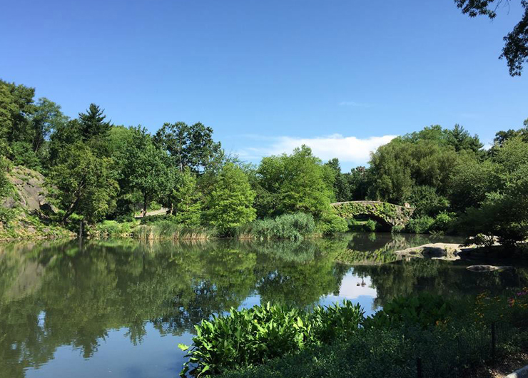 Hallett Nature Sanctuary Tour in Central Park