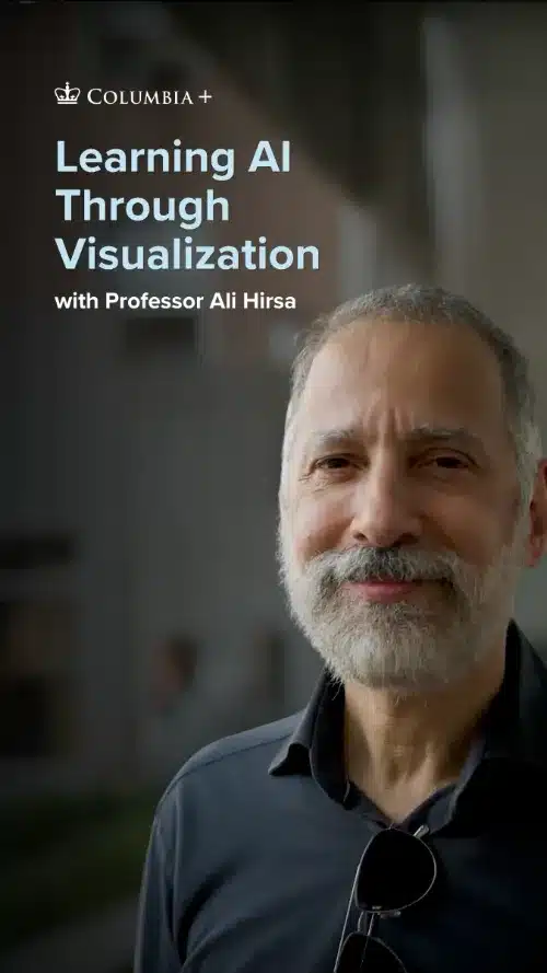 Learning AI Through Visualization
